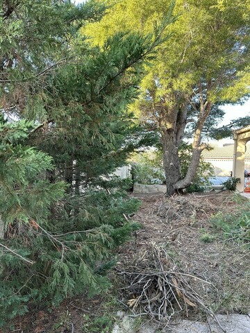 Remise en état d’un jardin après l’achat d’une maison : un chantier complet avec Atout’Arbres
