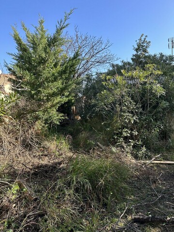 Remise en état d’un jardin après l’achat d’une maison : un chantier complet avec Atout’Arbres