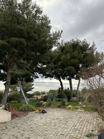 Avant / Après : élagage de pins à Ensues-la-Redonne, quand la lumière revient au jardin