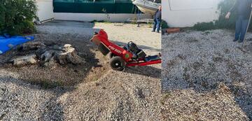 Avant et après : chantier de rognage de souche à Sausset-les-Pins Avant et après : chantier de rognage de souche à Sausset-les-Pins