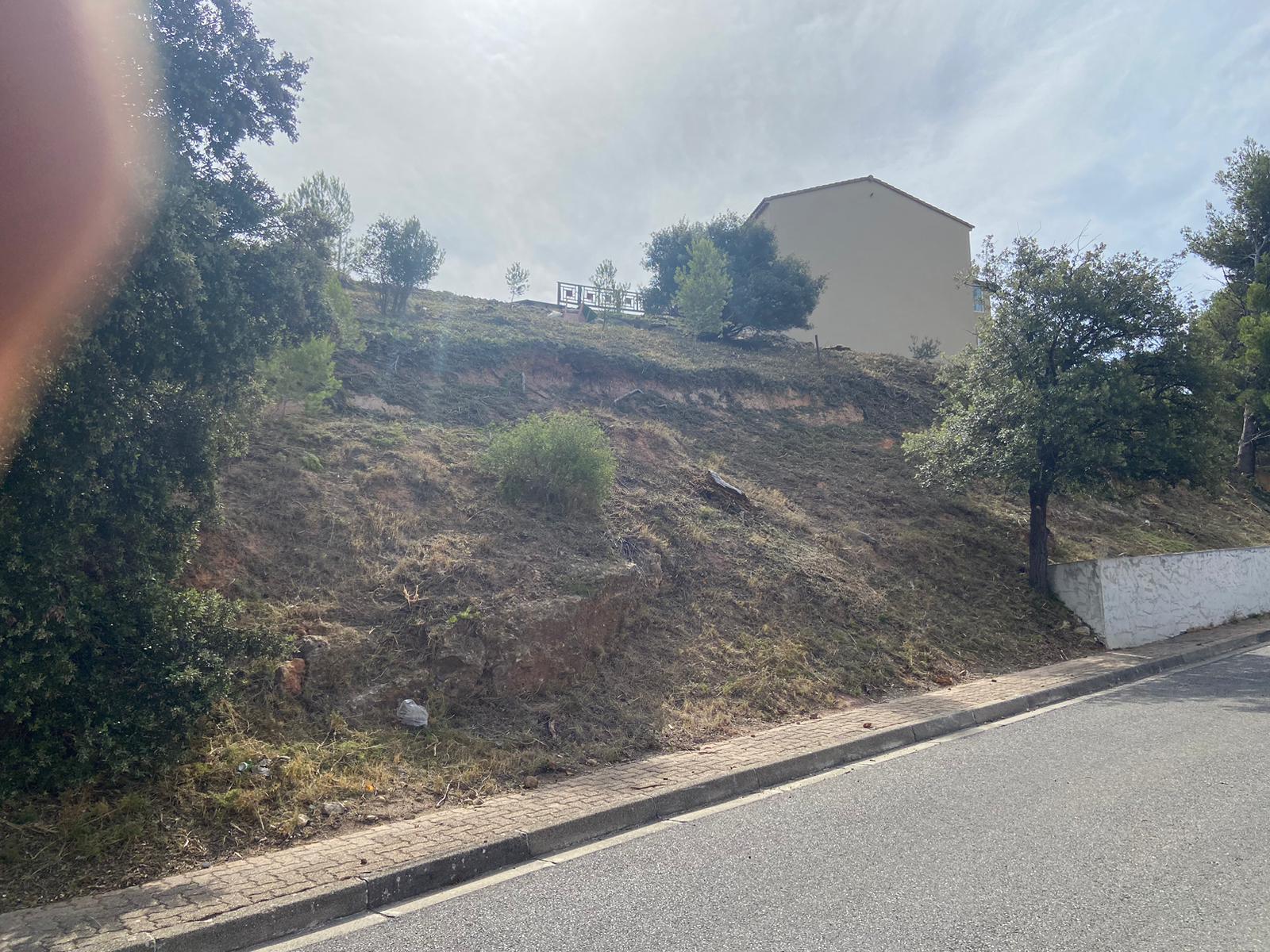 Chantier de débroussaillage avant-après à Martigues