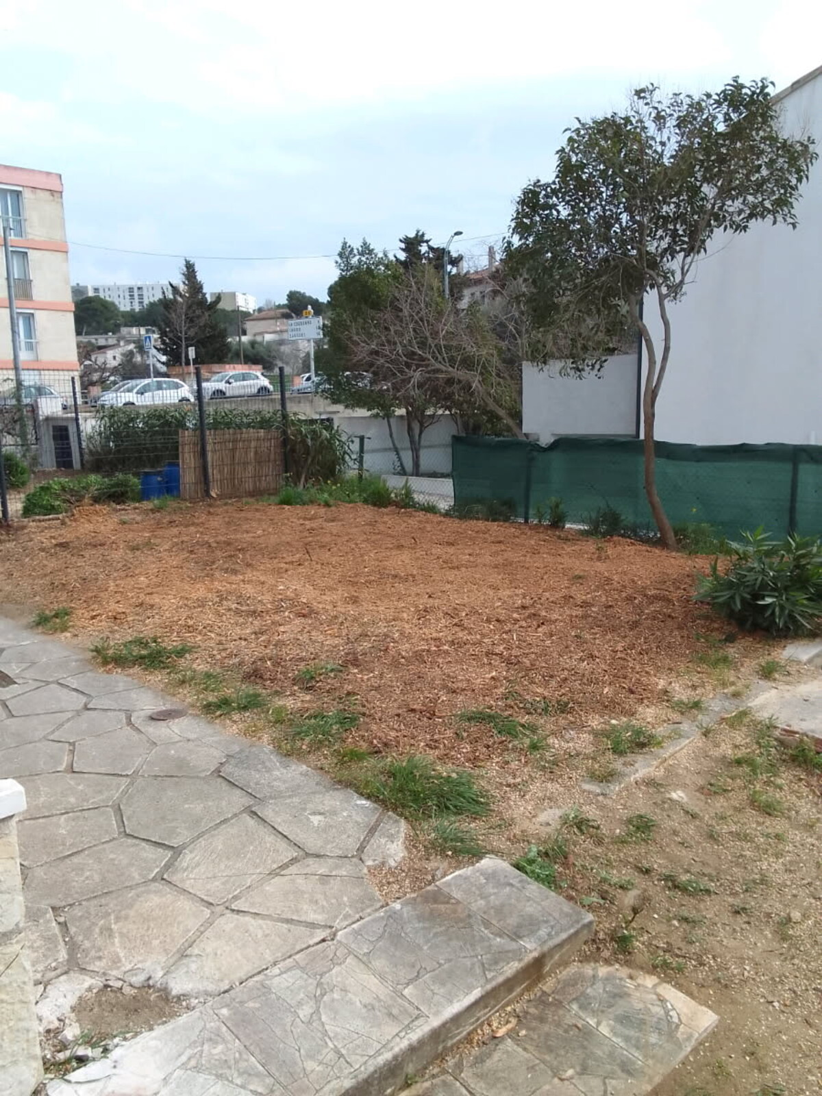 Rognage de souche : une solution efficace pour un terrain propre et sécurisé