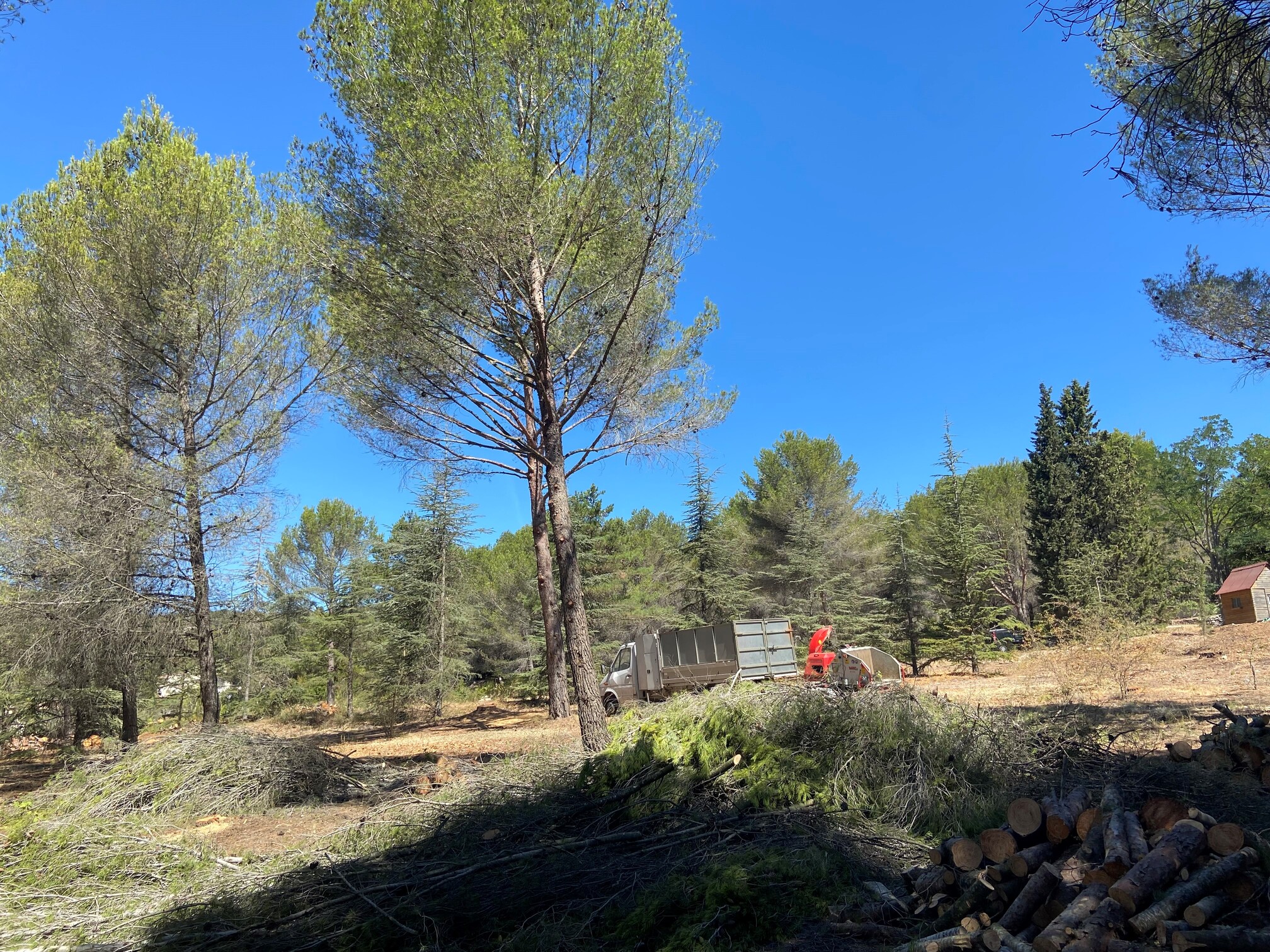 Obligation légale de débroussaillement sur un terrain d’un hectare à Martigues