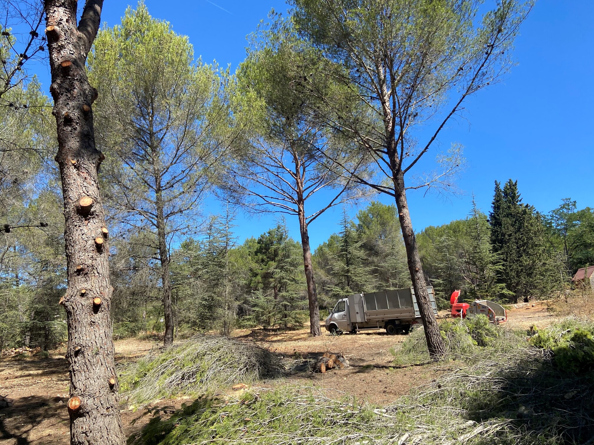 Obligation légale de débroussaillement sur un terrain d’un hectare à Martigues