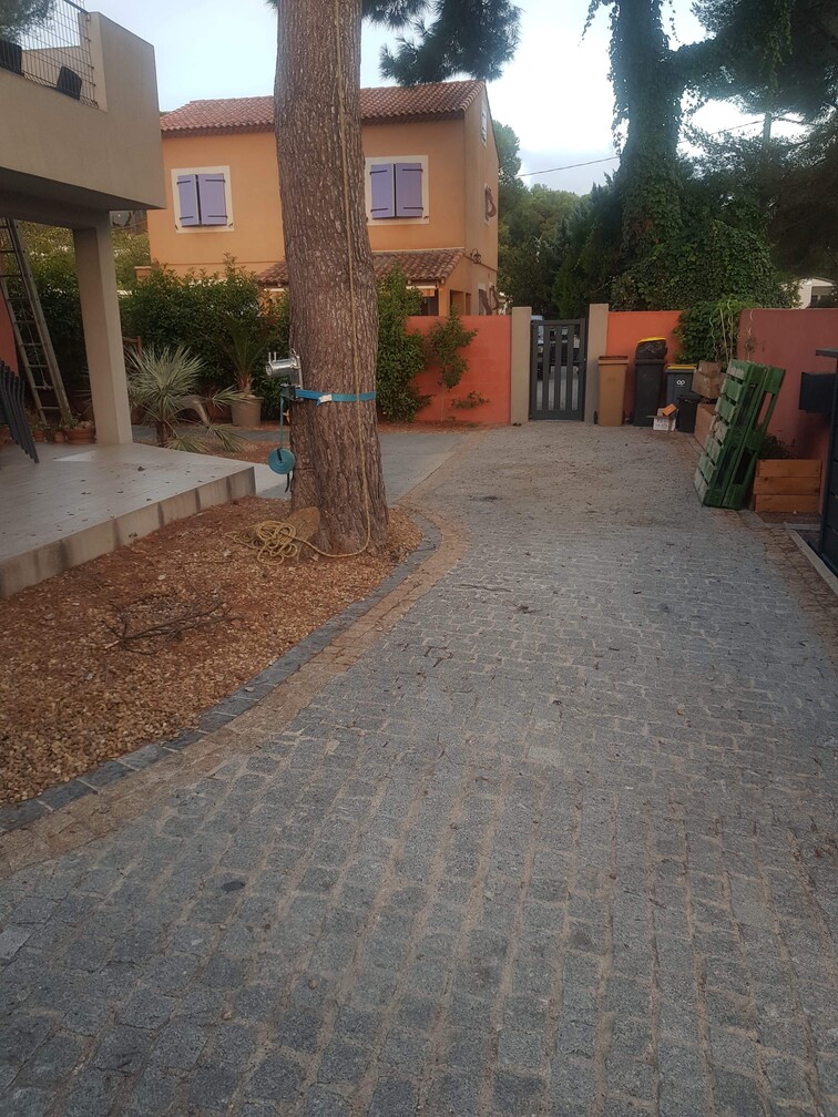 Abattage par démontage d’un pin