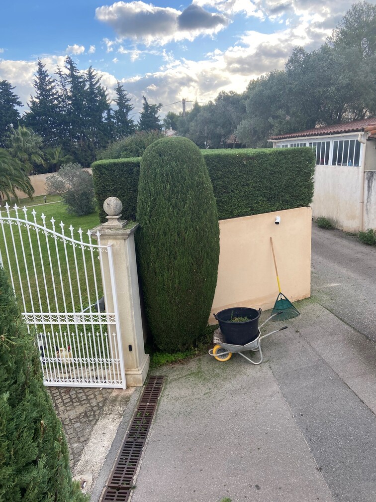 Réalisation d&rsquo;une taille de haie cyprès à Marignane.