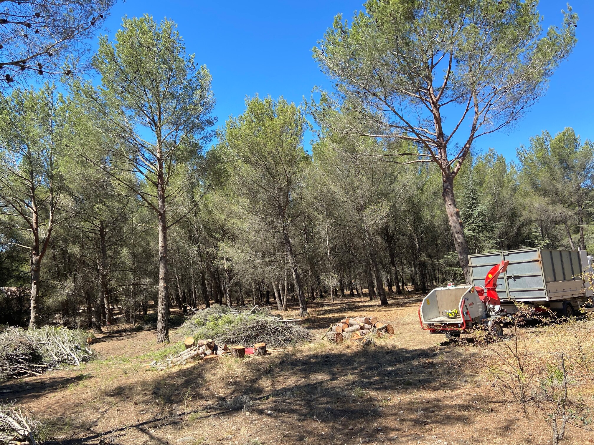 Obligation légale de débroussaillement sur un terrain d’un hectare à Martigues