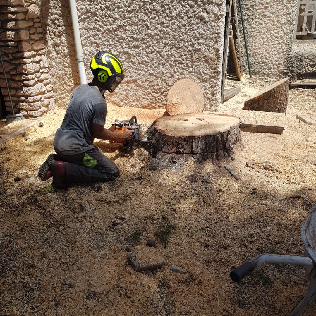 Abattage par rétention d’un pin à risque à Martigues