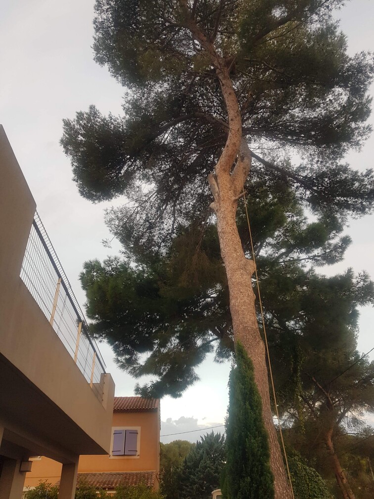 Dans le secteur de Martigues