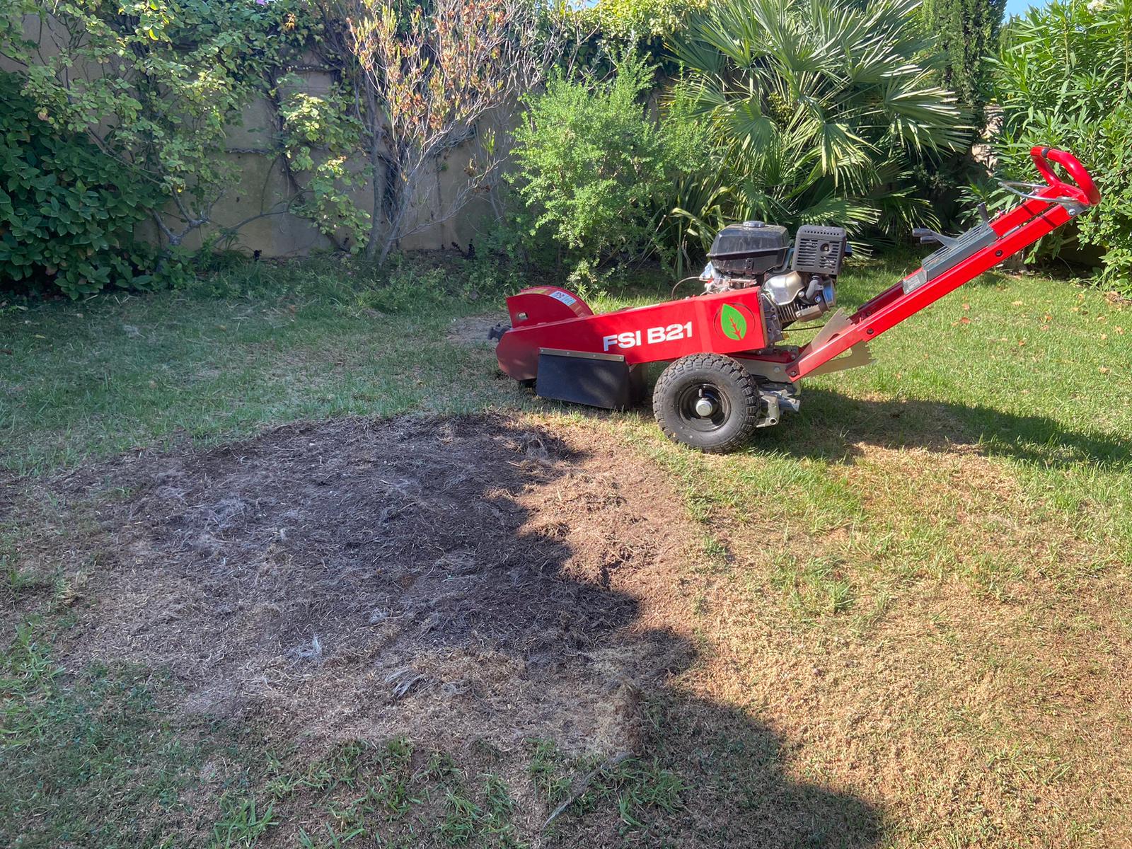 Abattage d’un palmier sur la commune de Carry le Rouet