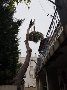 Abattage – Atout’arbres – St Mitres les Remparts