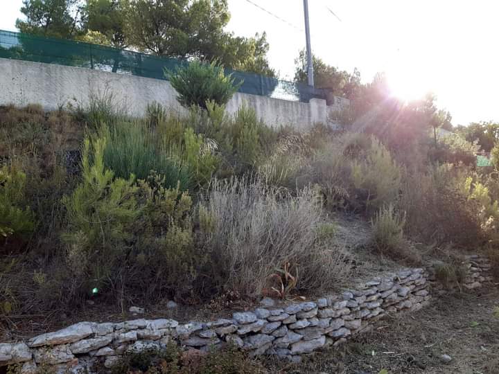 Débroussaillage – Atout&rsquo;arbres – St Mitres les Remparts