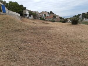 Débroussaillage – Atout’arbres – St Mitres les Remparts