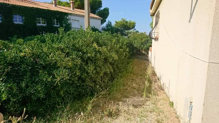 Entretien de jardin – Atout&rsquo;arbres – St Mitres les Remparts