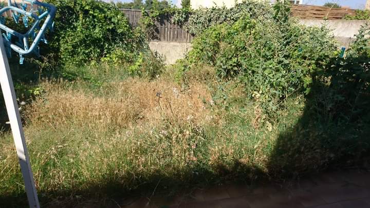 Débroussaillage – Atout&rsquo;arbres – St Mitres les Remparts