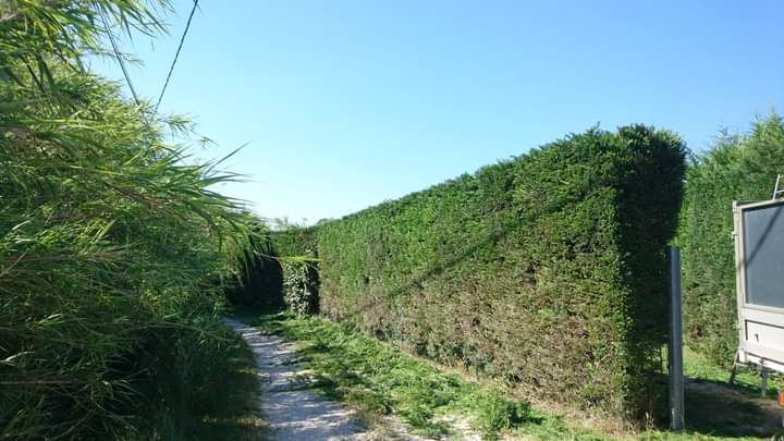Entretien de jardin – Atout&rsquo;arbres – St Mitres les Remparts