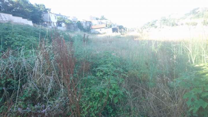 Débroussaillage – Atout&rsquo;arbres – St Mitres les Remparts