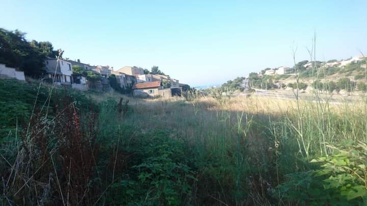 Débroussaillage – Atout&rsquo;arbres – St Mitres les Remparts