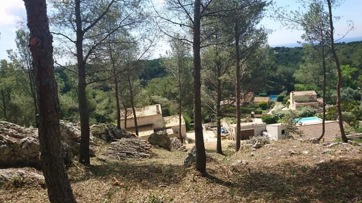 Débroussaillage – Atout&rsquo;arbres – St Mitres les Remparts