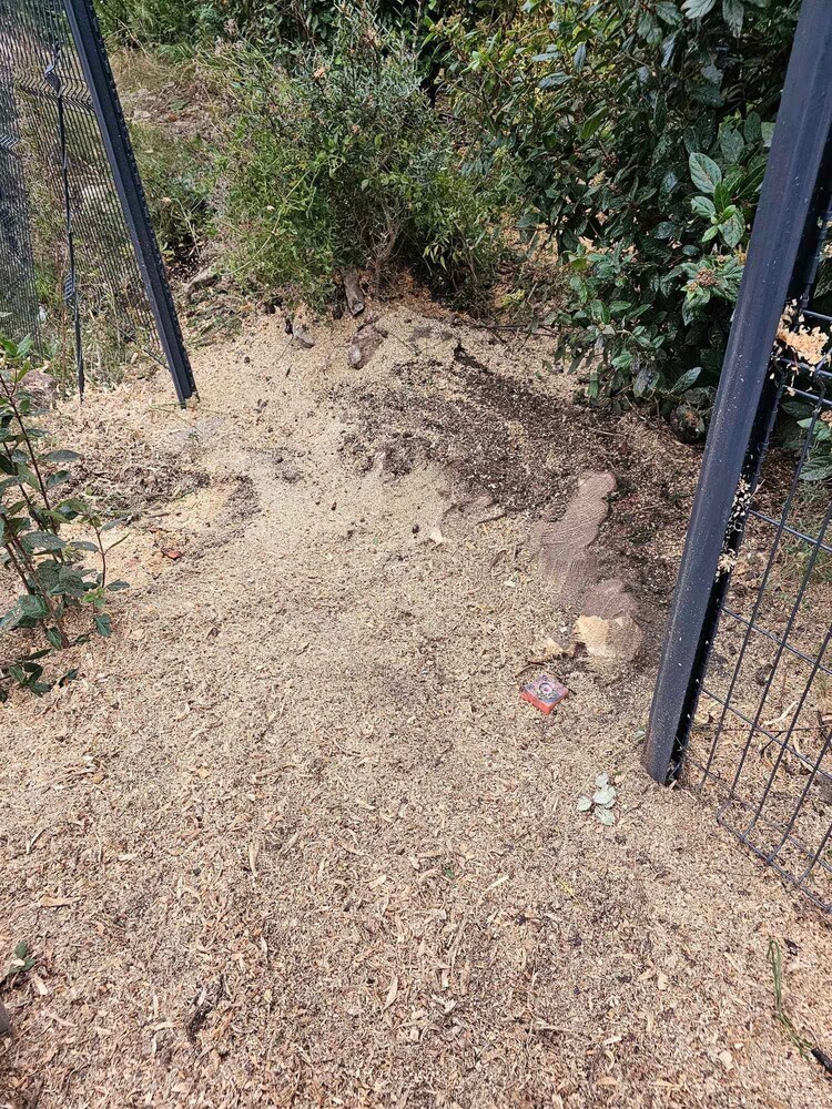 Rognage de souches sur la commune de St Mitre les Remparts