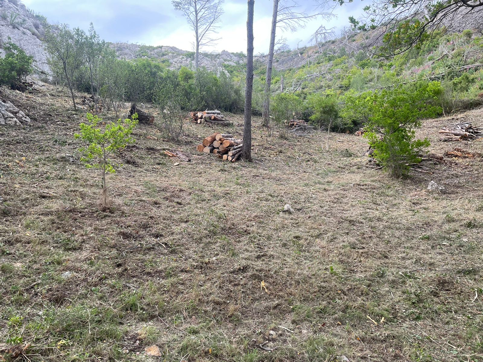 image_123650291 (18)