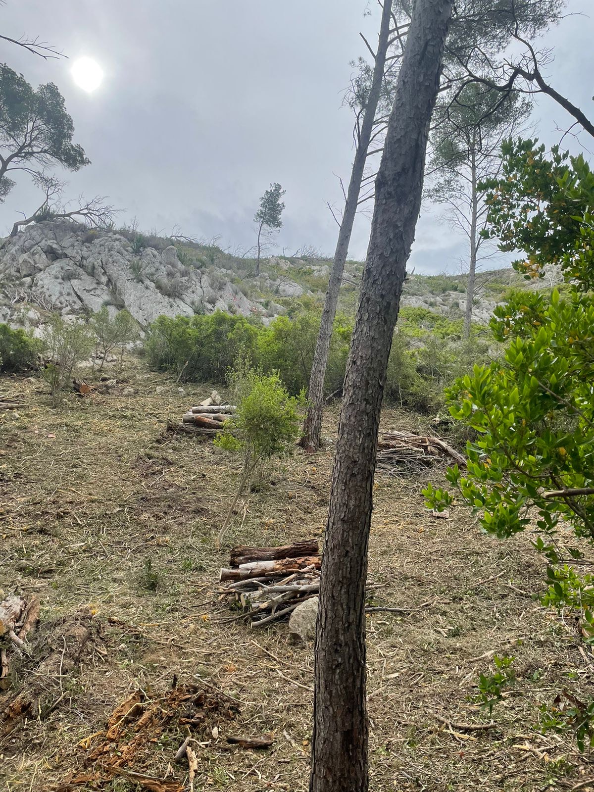 image_123650291 (15)