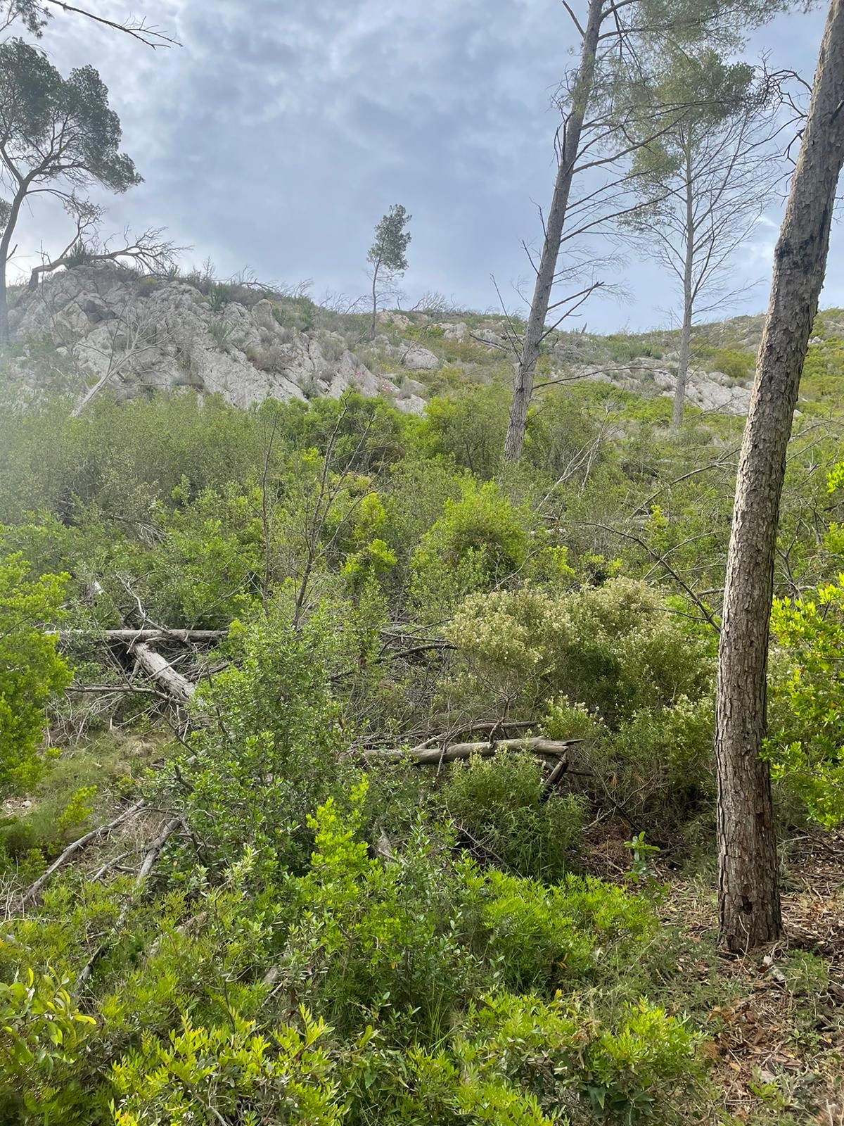 image_123650291 (16)