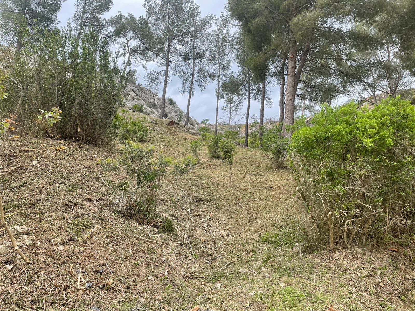 image_123650291 (19)