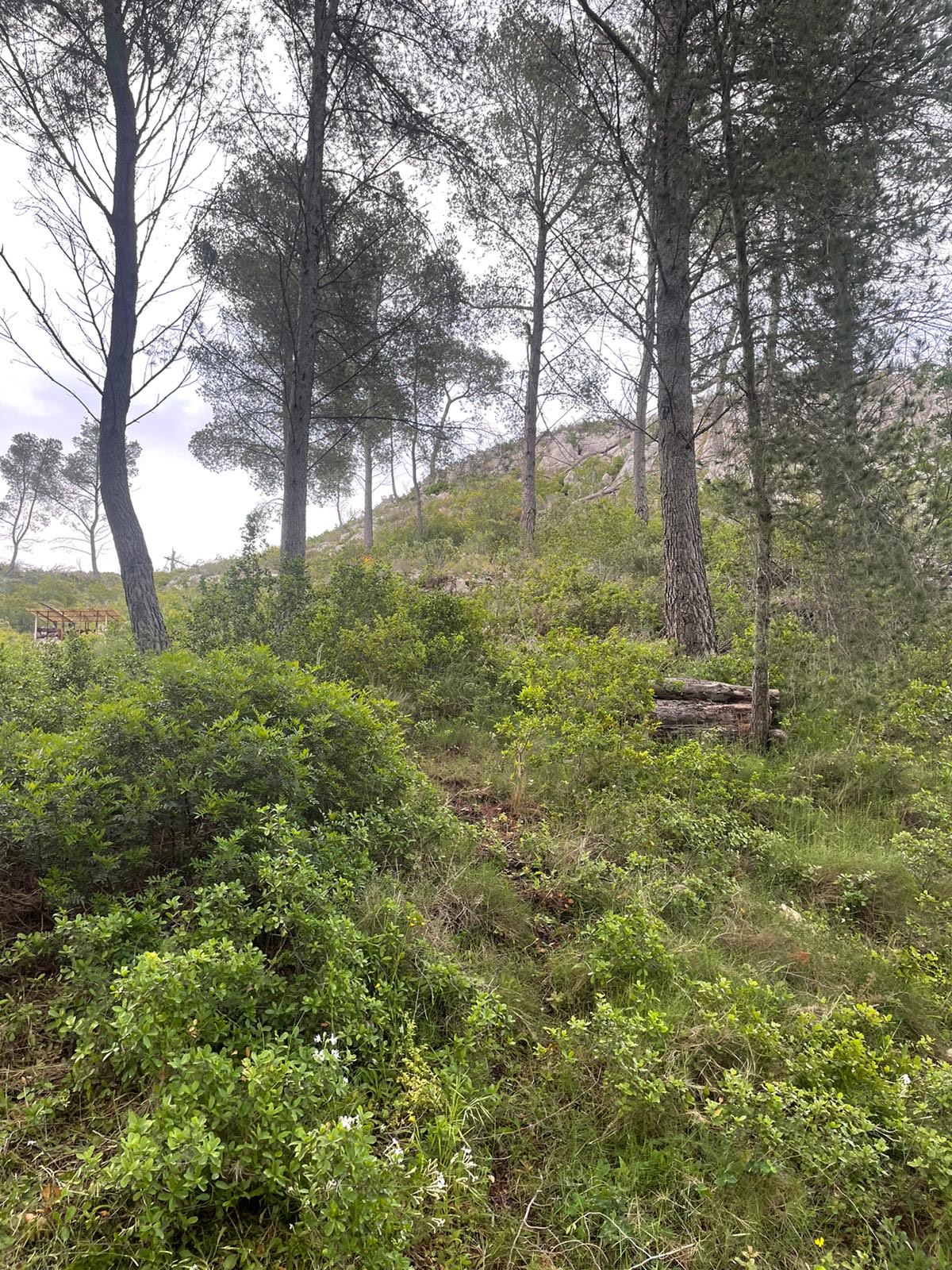 image_123650291 (20)