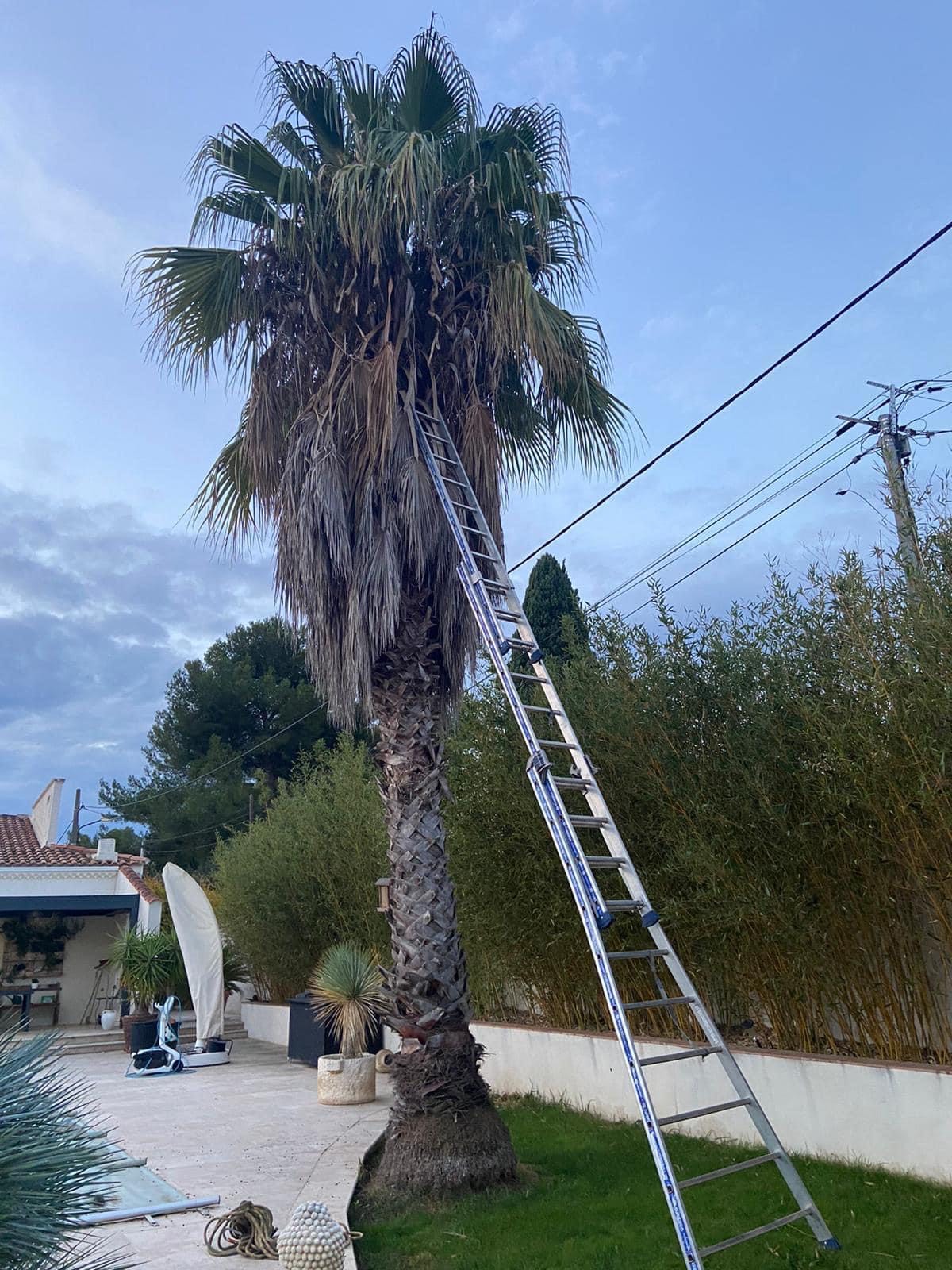 image_123650291 (24)