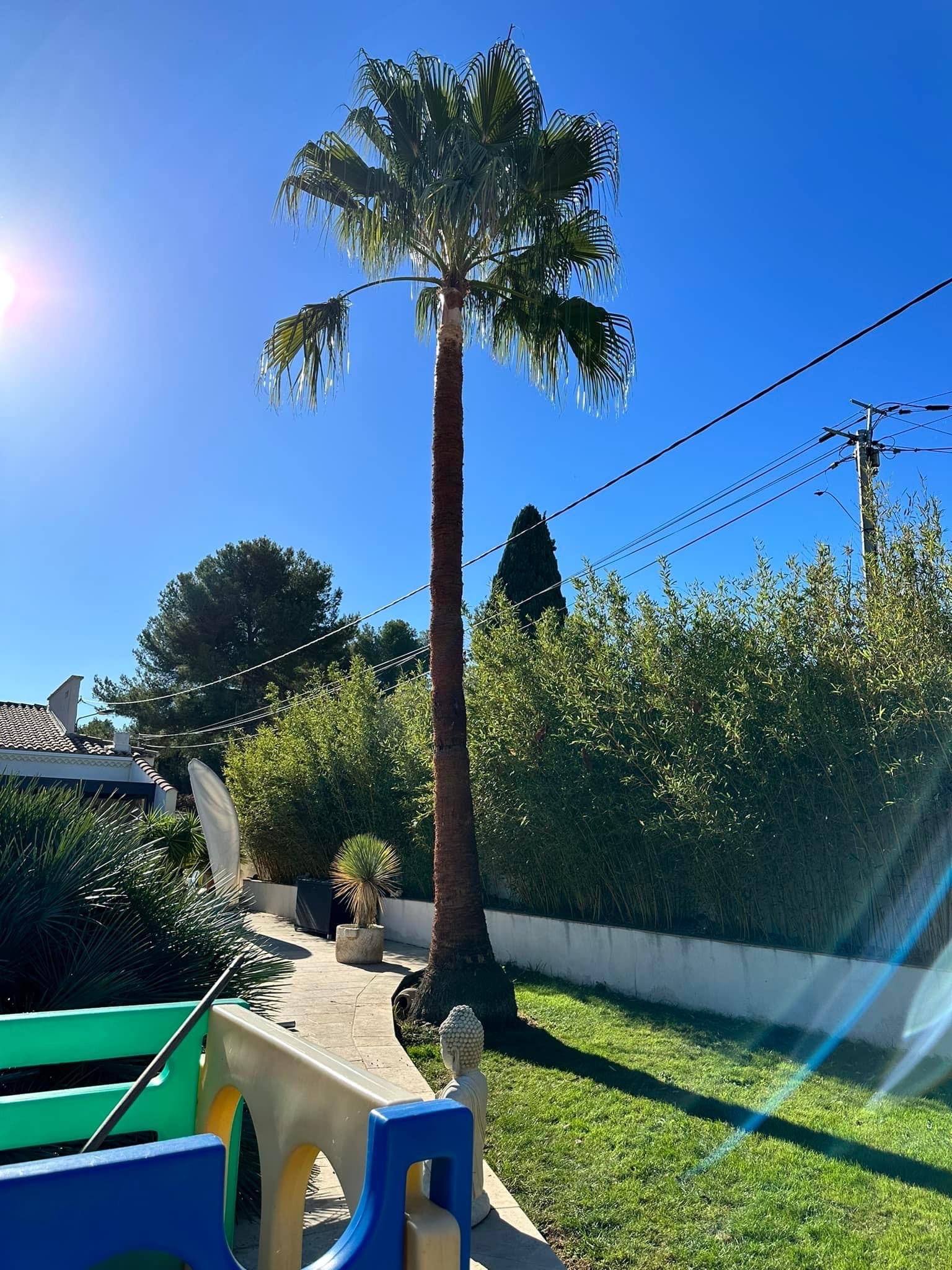 image_123650291 (22)