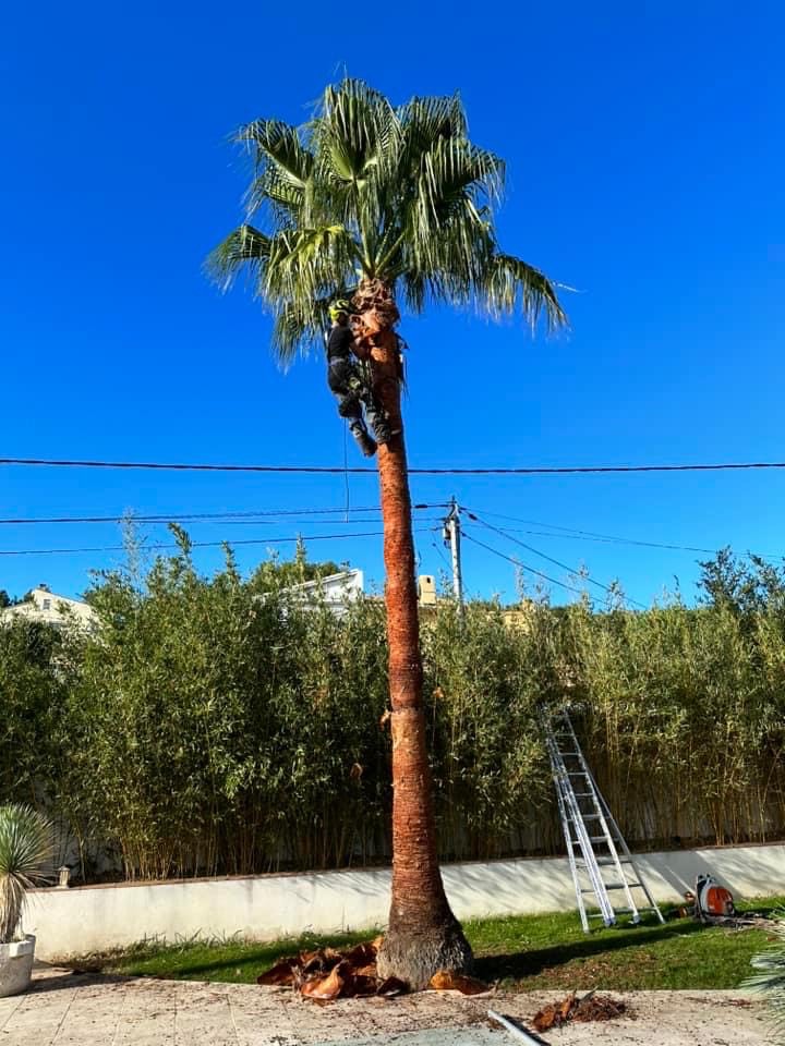 image_123650291 (23)