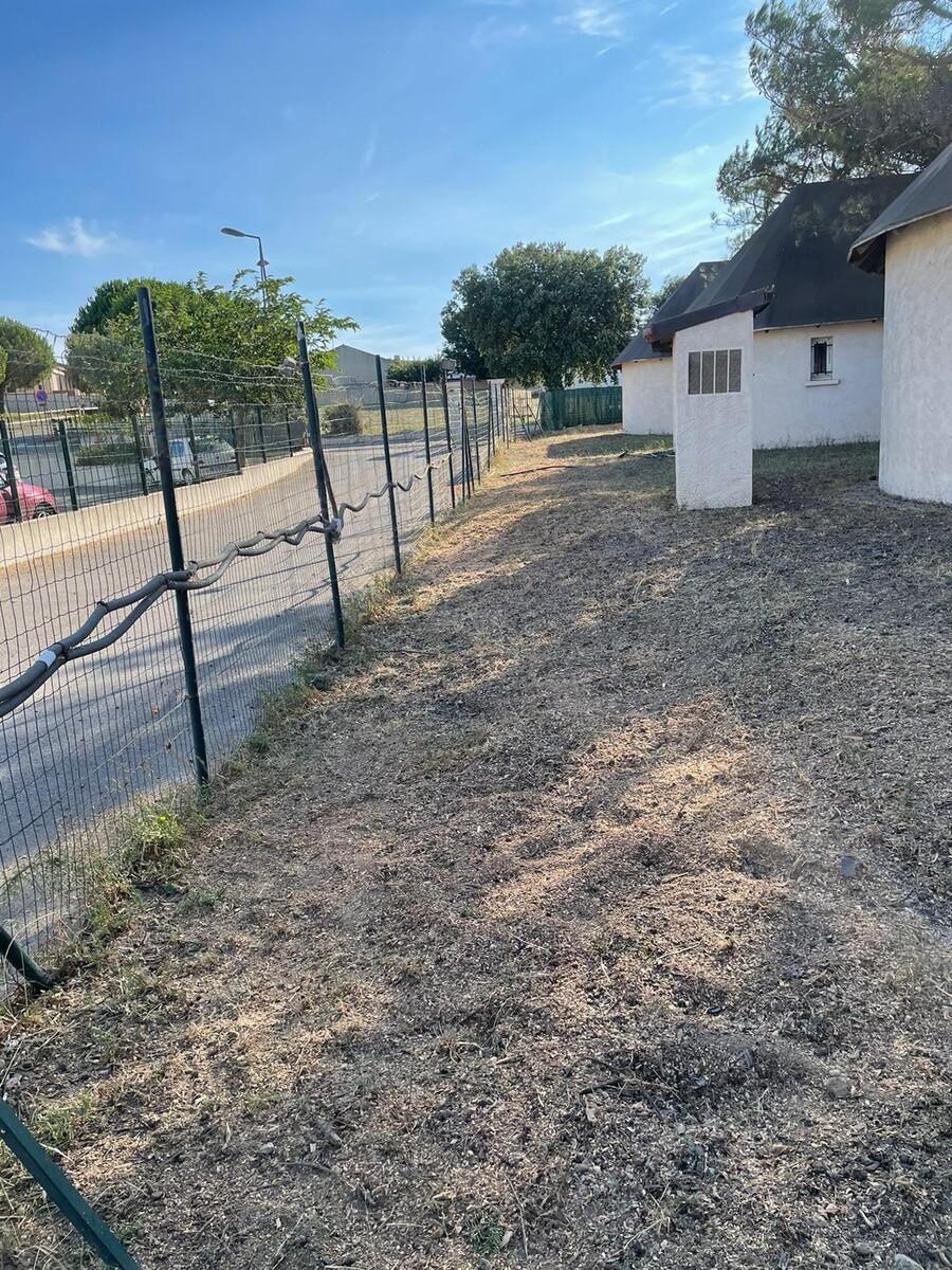 Abattage et rognage d’une haie de Cyprès à Fos sur mer