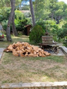 L’abattage d’un Pin à St Mitre les Remparts
