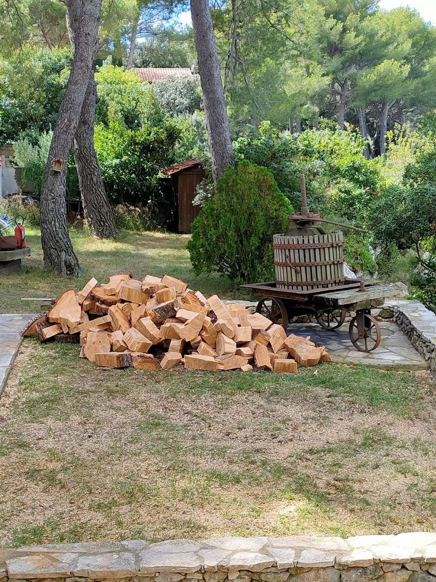 L&rsquo;abattage d’un Pin à St Mitre les Remparts