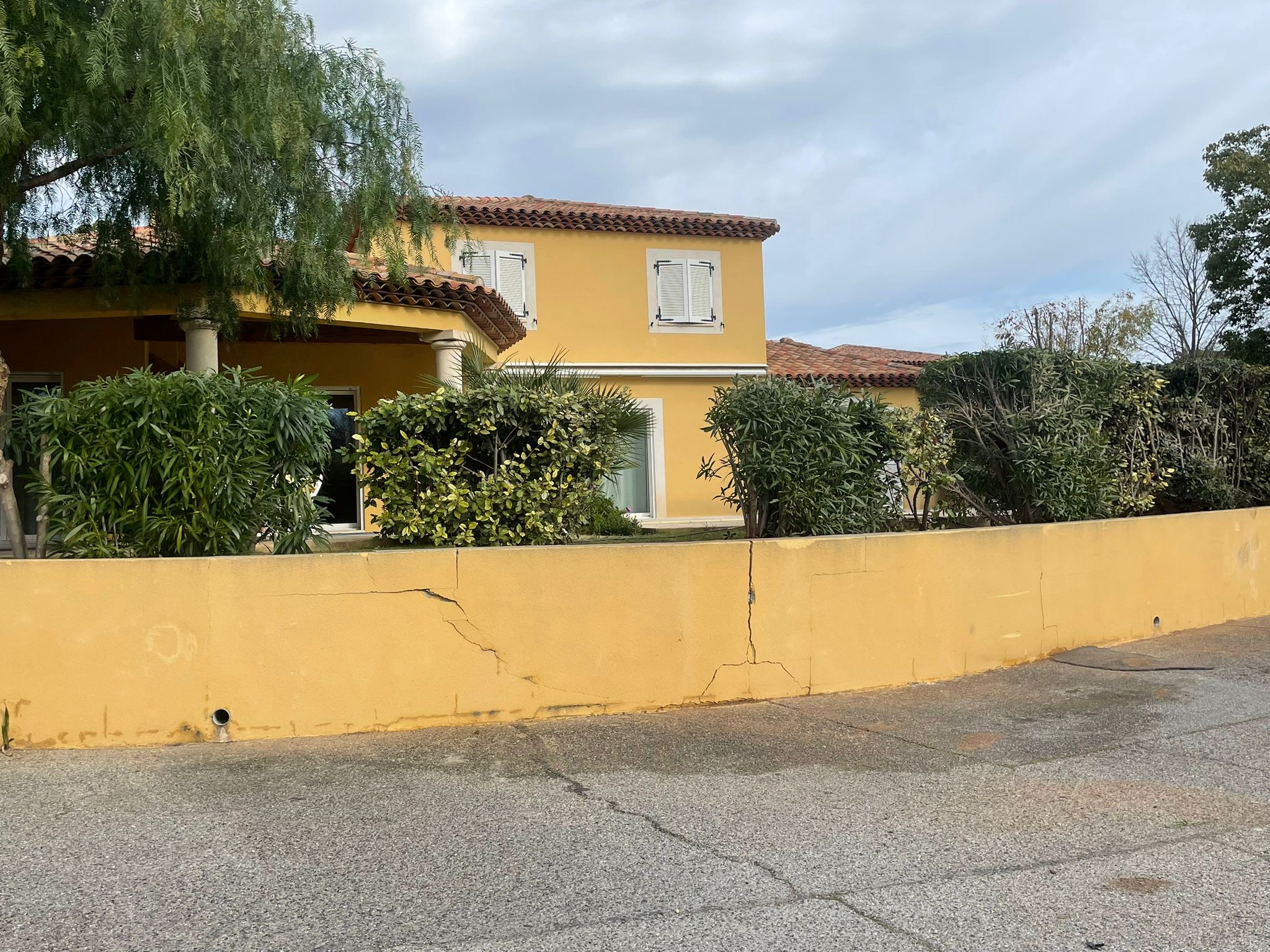 Rognage de souches à Carry