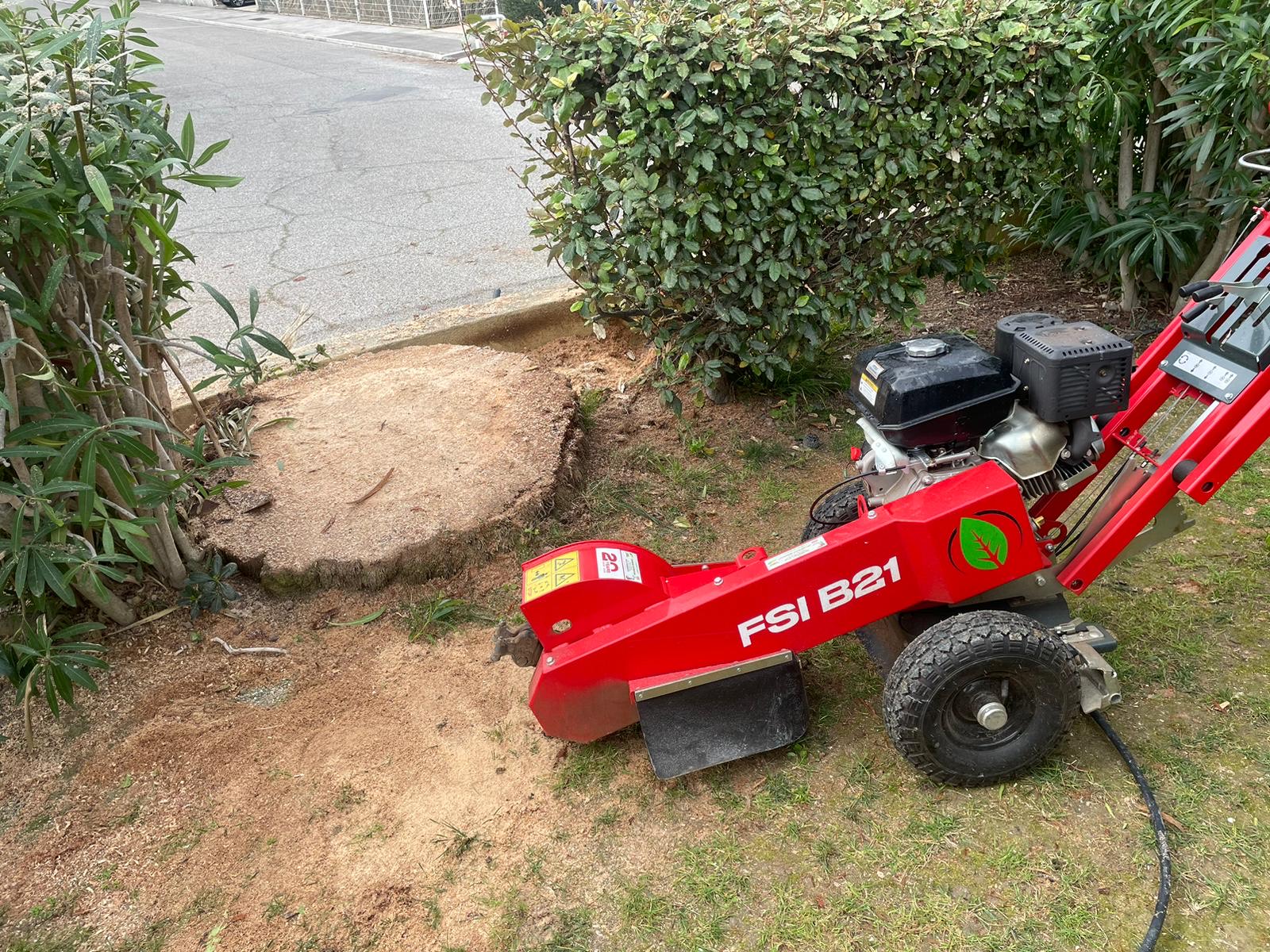 Rognage de souches à Carry