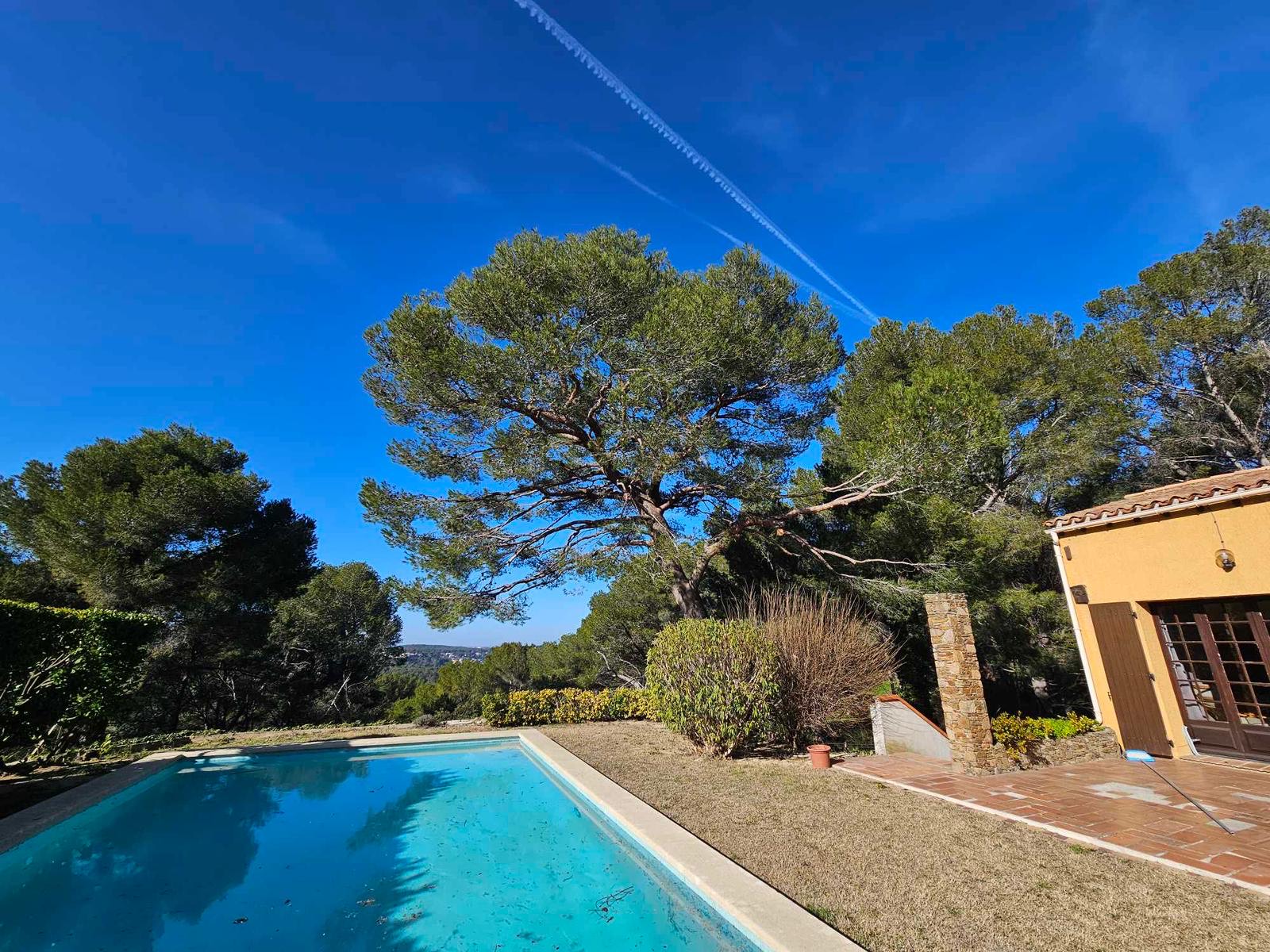 Elagage d’un Pin à St Mitre