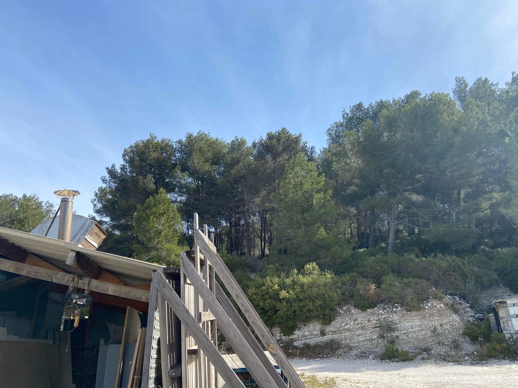 Gros débroussaillage et abattage de Pins à Martigues