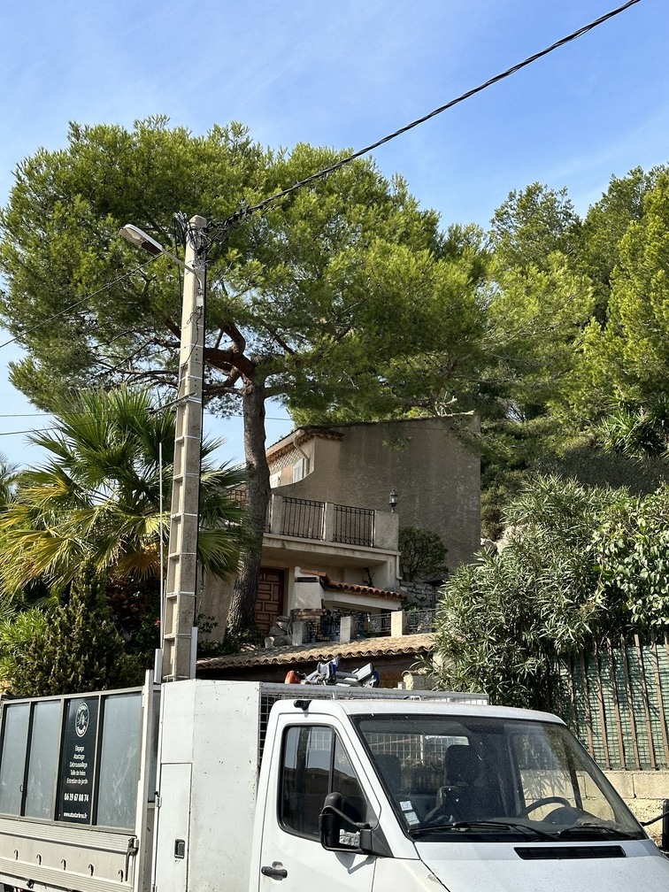 Elagage d&rsquo;un Pin – Port de Bouc