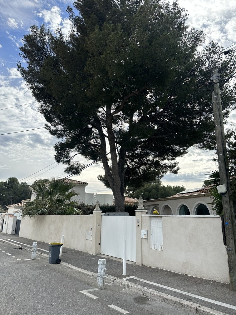 Elagage d&rsquo;arbres à Carry