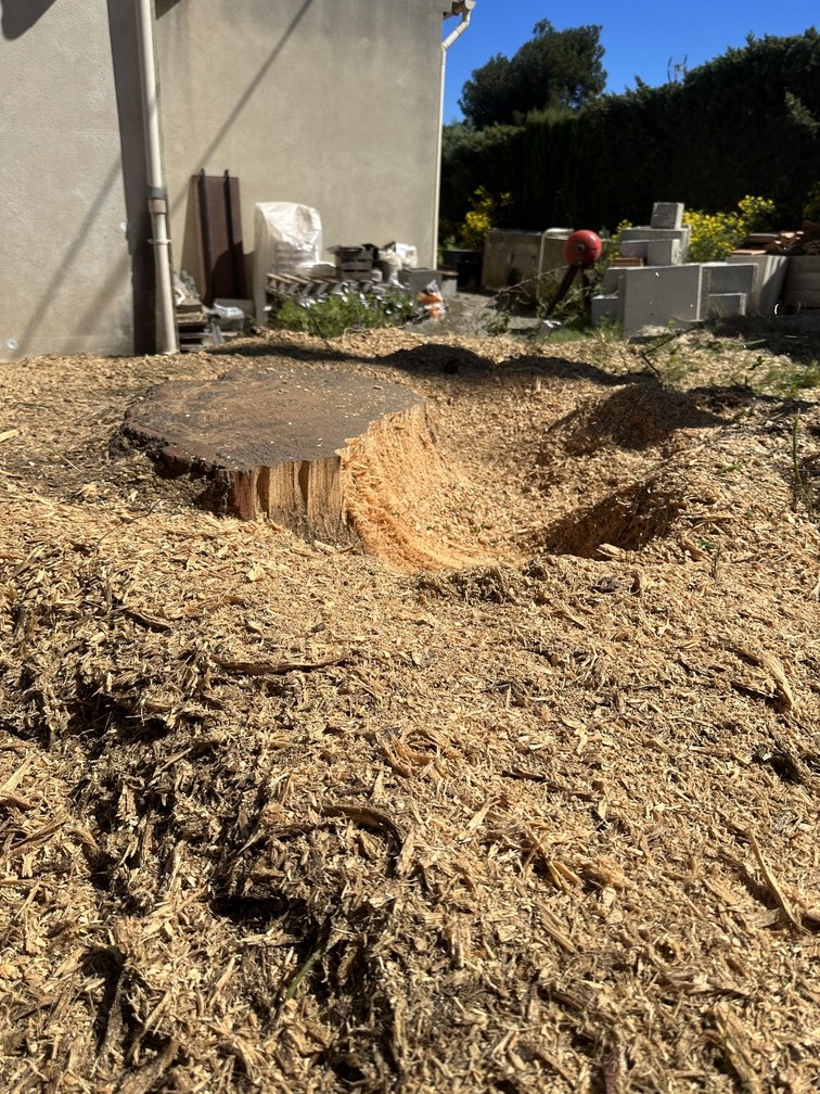 Rognage de souche à St Mitre Les Remparts