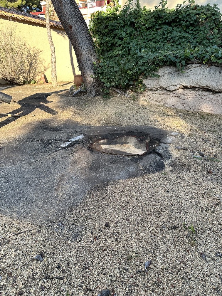 Abattage et rognage d’un pin gênant