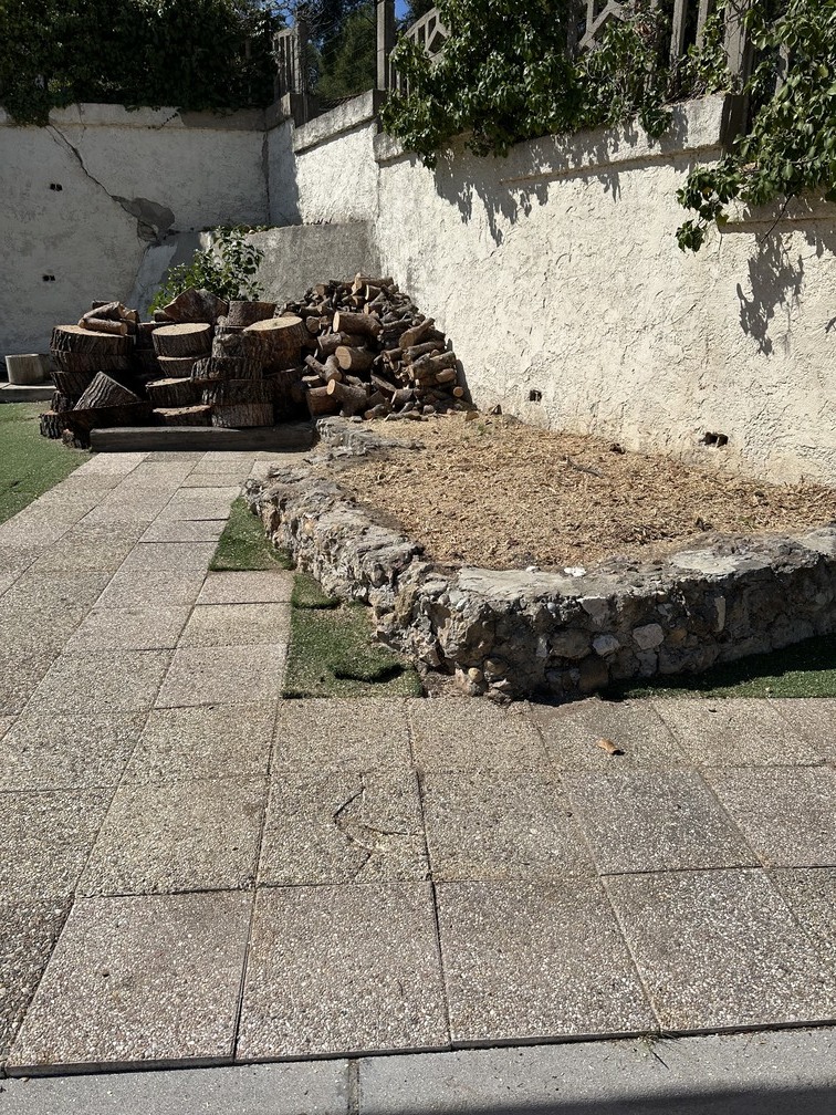 Chantier d’abattage à Martigues