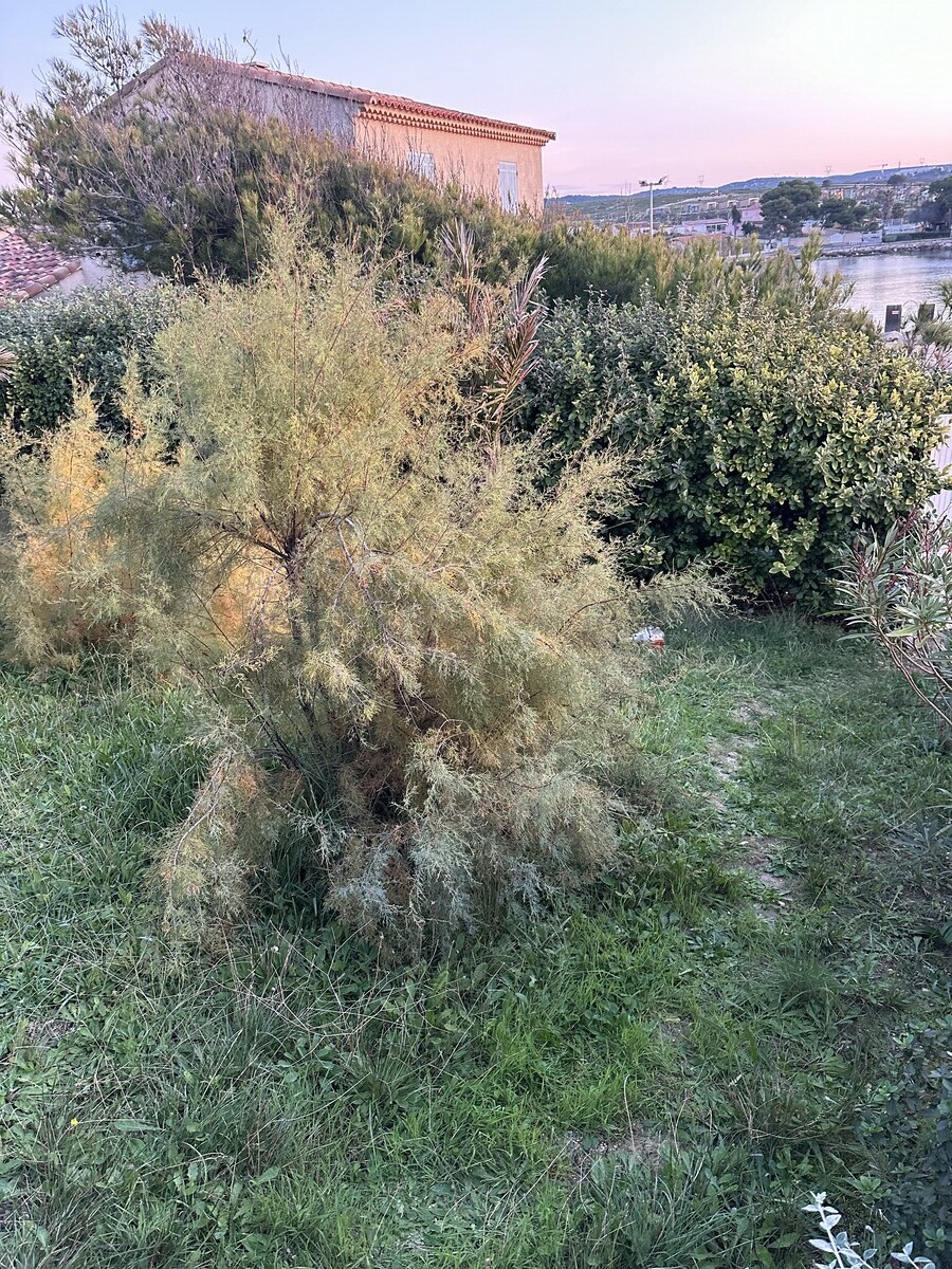 Remise en État d’un Jardin à La Couronne