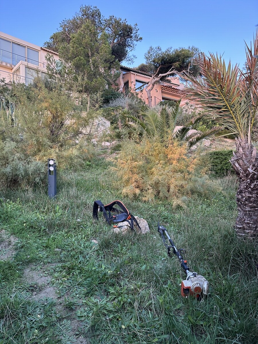Remise en État d’un Jardin à La Couronne