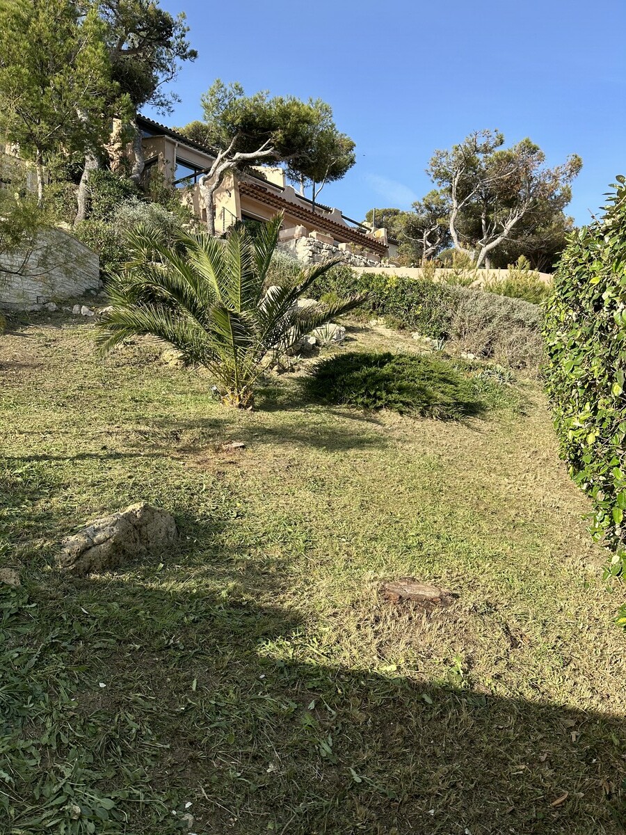 Remise en État d’un Jardin à La Couronne