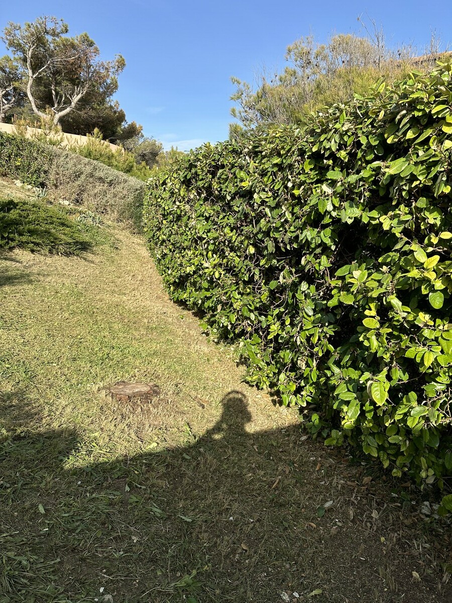 Remise en État d’un Jardin à La Couronne