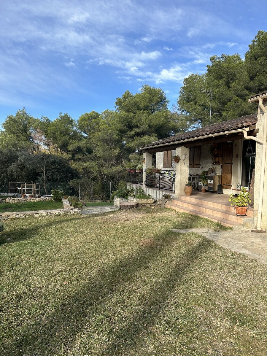 Abattage d’un pin penché à Saint-Mitre-les-Remparts – Sécurité et Expertise