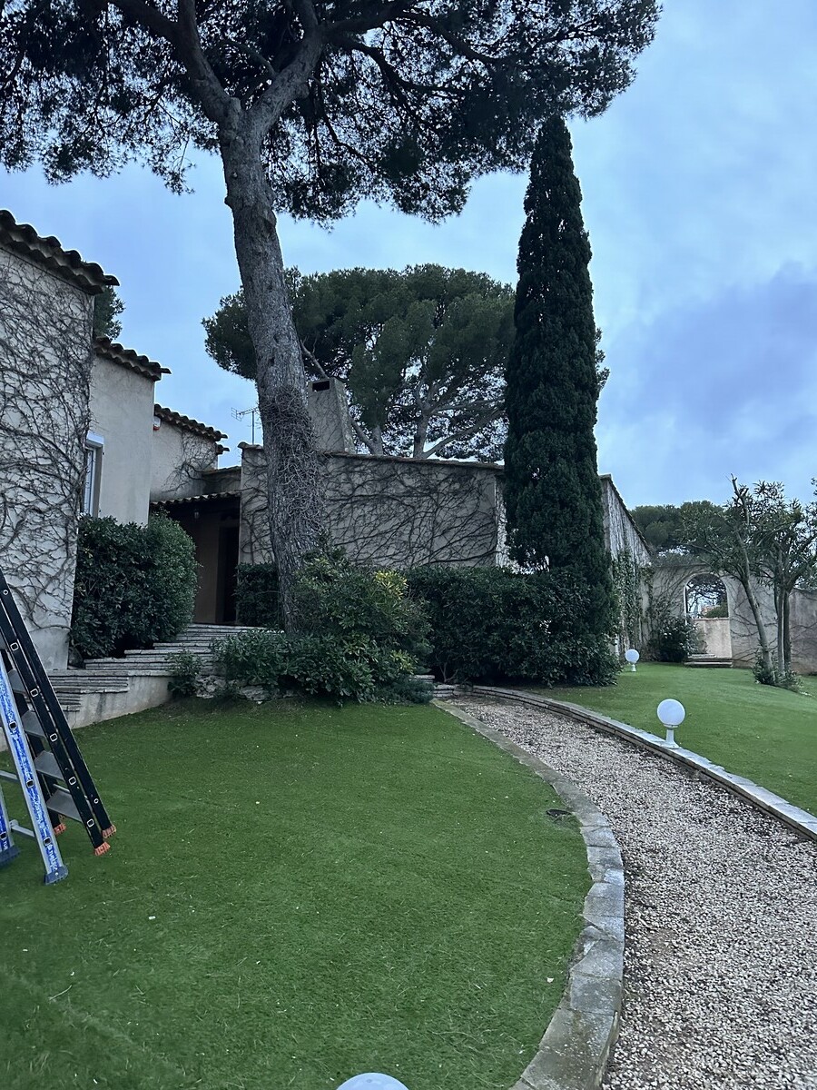  L’élagage d’un pin à Martigues – Une intervention réussie par Atout’Arbres